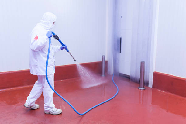 Best Driveway Pressure Washing  in Brunswick, GA